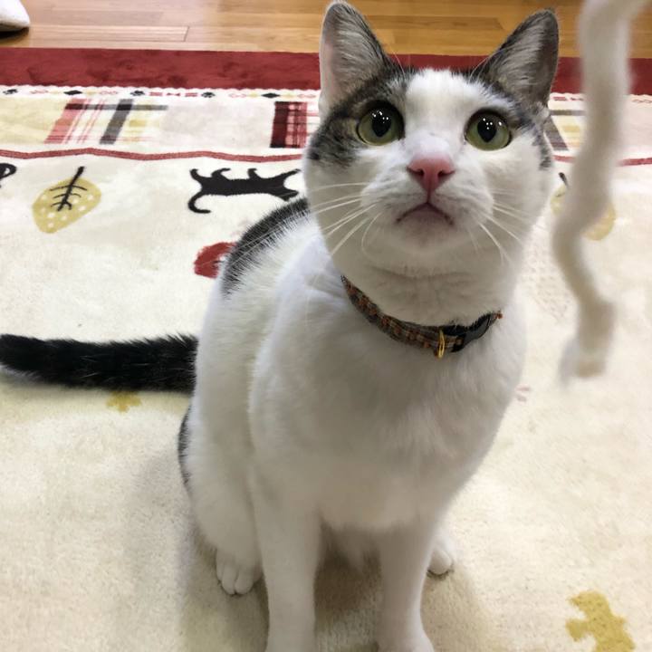 Ef6d80bb c25f 455c b472 06a0316a68db 1703155824730