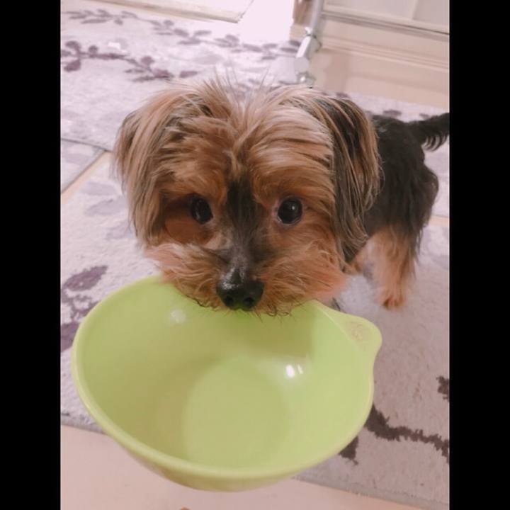 Ef6d9ce3 8a24 4bb9 99d2 eefc60b331d5 1523962410175