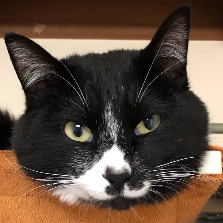 Ef6db09c 3e49 43a6 bed8 ad0ff0a39a9d 1558152866143