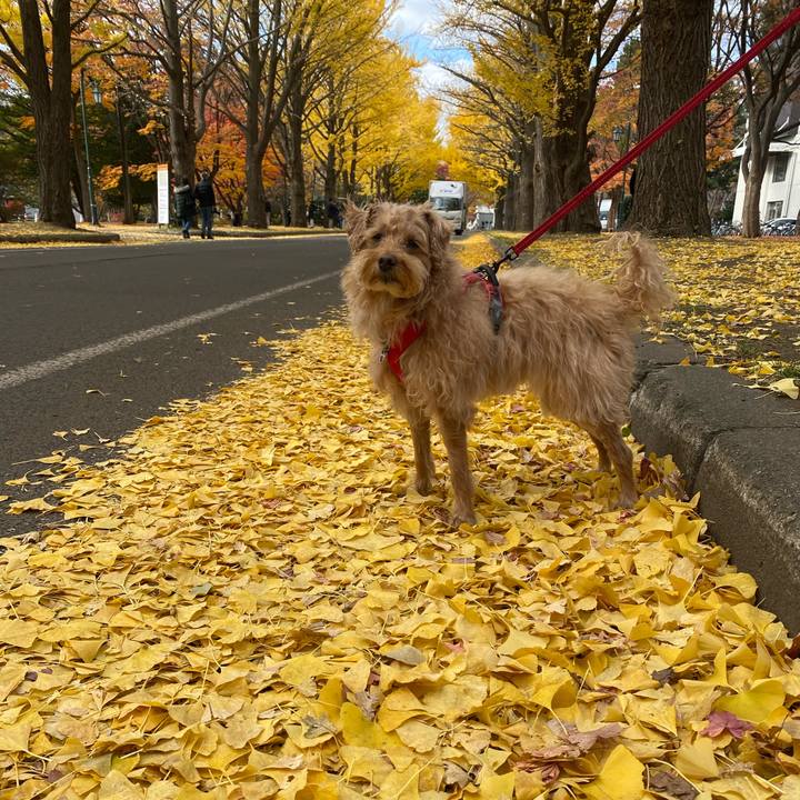 Ef6dcd96 0f3a 4ec7 bc47 28482902bf54 1667786924463