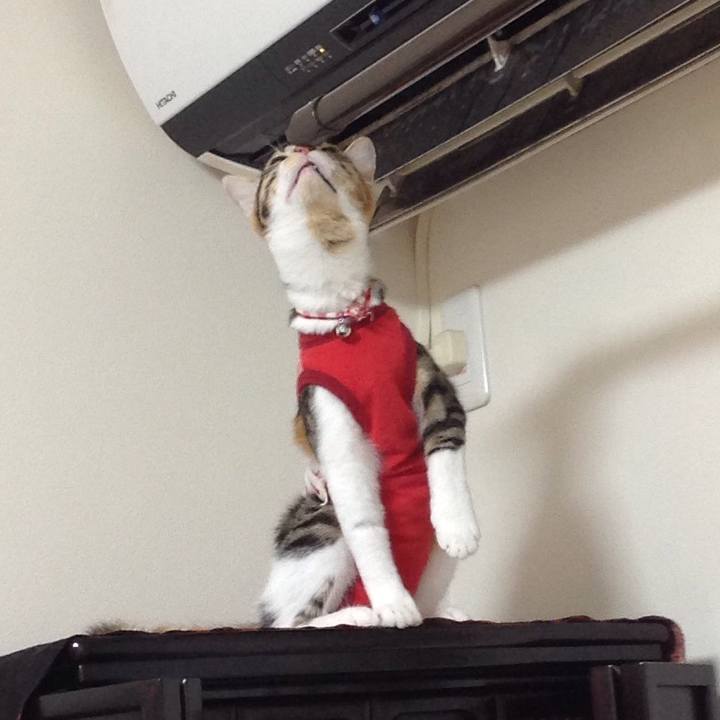 Ef6dd3ba 5d75 4e4c 8cbf 72bbd736d95f 1634963024811