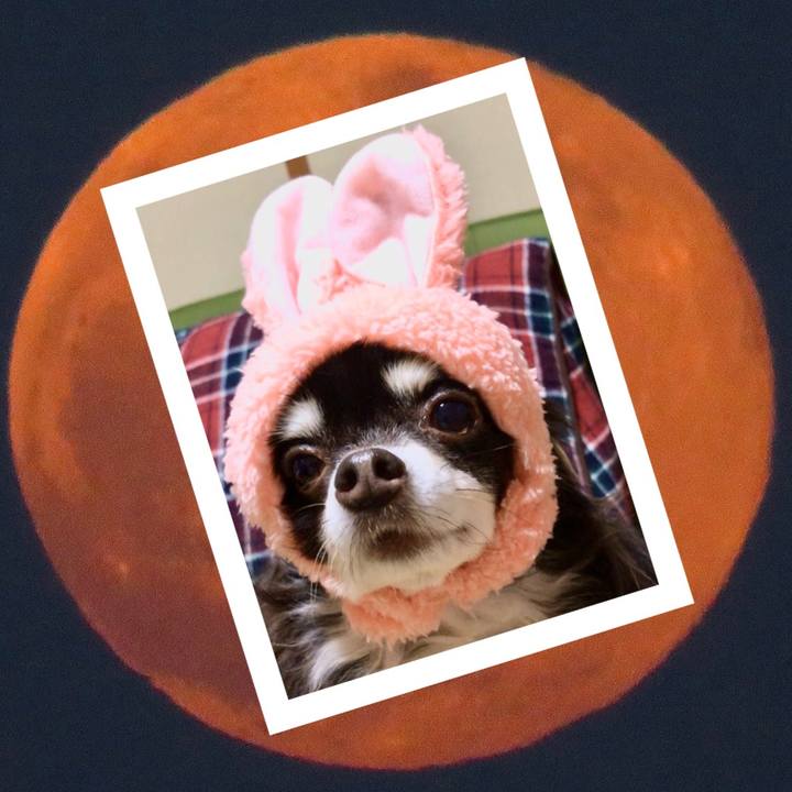 Ef6deeea 69cf 44cb 868d 70f26ceb9cf7 1588853195072