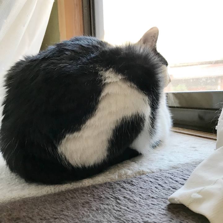 Ef6e0fa6 6f9c 4b7d 8606 5baa5da257a4 1535330373467