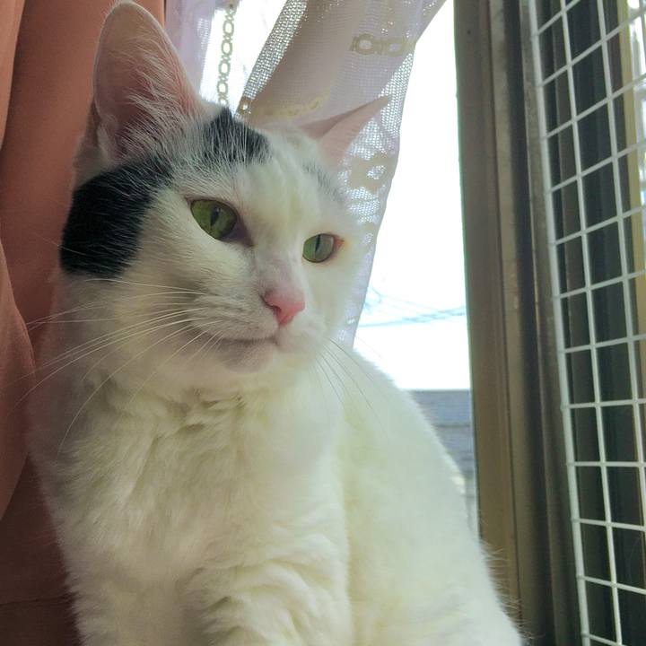 Ef6e2630 a3b9 4505 b22c c581ba3060b4 1599115986793