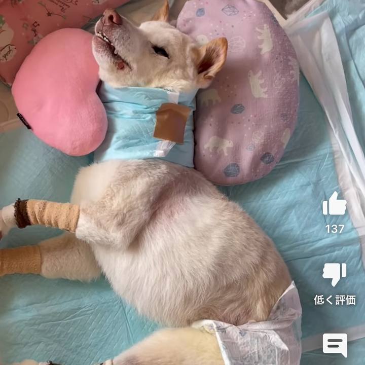 Ef6e6d1b 1c0e 49c9 ade2 40e7ae5a3509 1685572187138