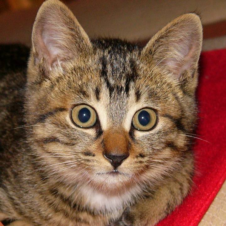 Ef6e88d0 f8cf 4fb5 ae62 03f602220ebf 1619653253130