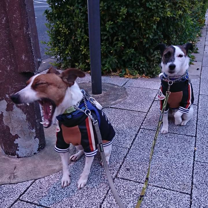 Ef6ec34a 32e1 4ef9 82a0 bf2fa158aec3 1577311323268