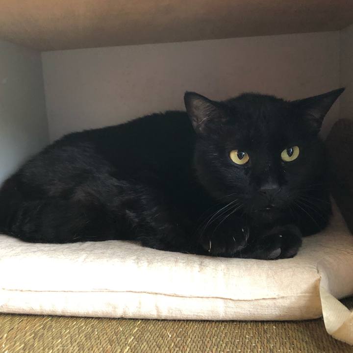 Ef6ec865 ae2f 4555 83e2 a6adccb2a25f 1557527446467