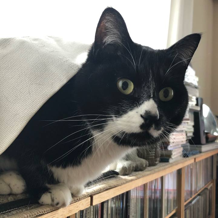 Ef6ee234 bba6 41fe ad39 aaf19e034268 1617768786457