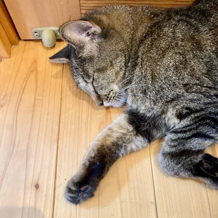 Ef6f0225 5b9b 4352 acfe e76432d59744 1659524206103