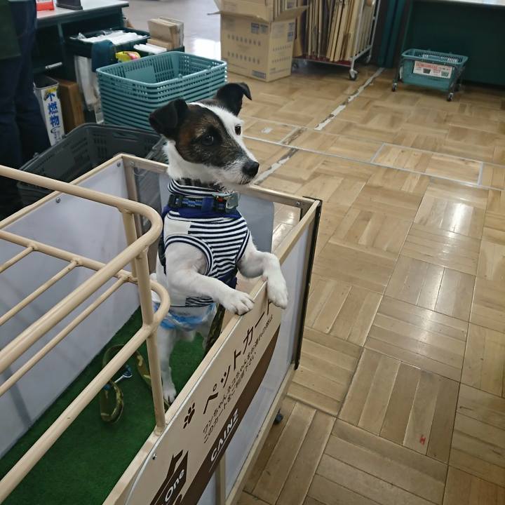 Ef6f2ba6 1a88 4871 ae05 e11916e3c825 1517637628163