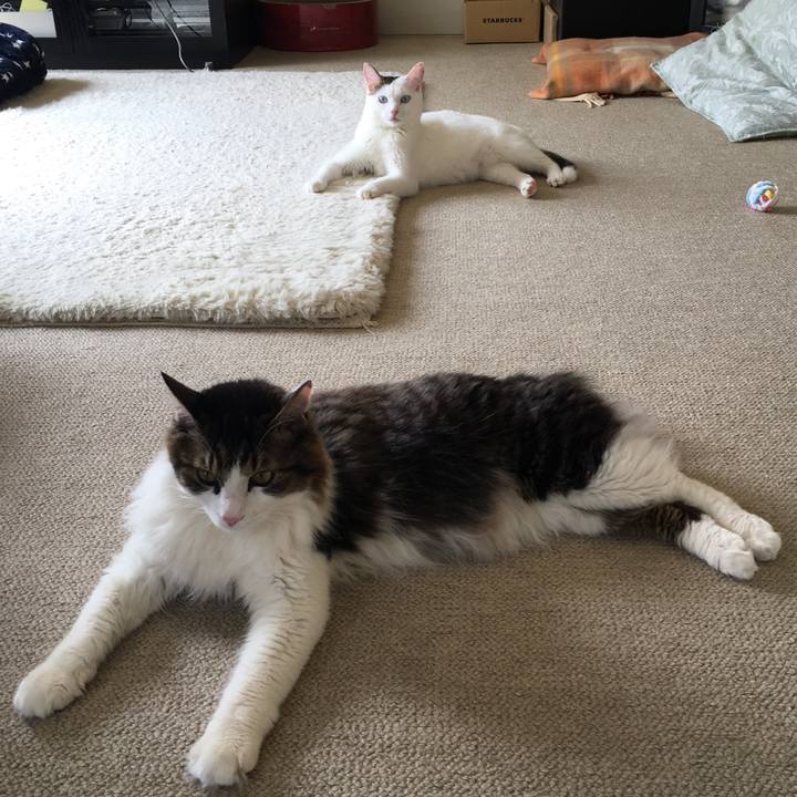 Ef6f41f7 3e58 49a1 ae87 e64bfe1d2b0e 1522901752727