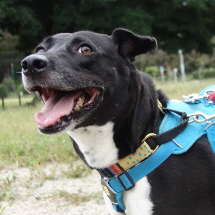 Ef6f4a0b 189e 488c ae7e 288f3e54322e 1631836645999