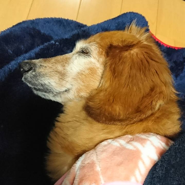 Ef6f6b3d 8a41 438a ad04 8cbb3c0b7036 1513864485307