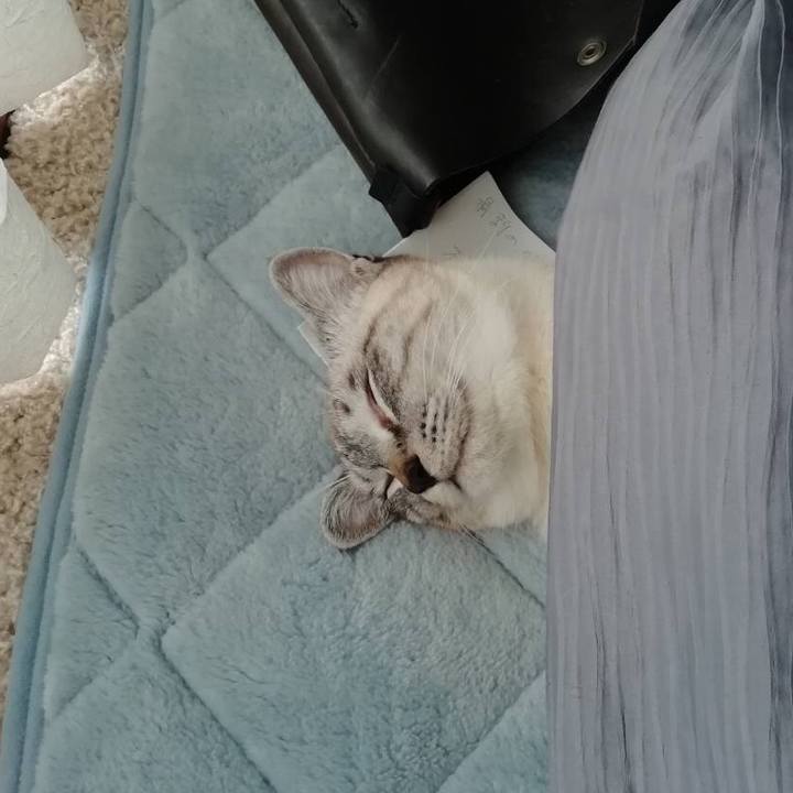 Ef6fcded b2c3 41d4 b857 a183cceb6830 1553829231711