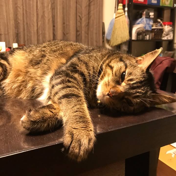 Ef6ff9be 1d9a 4206 b9b9 585d672bac6a 1647349385240