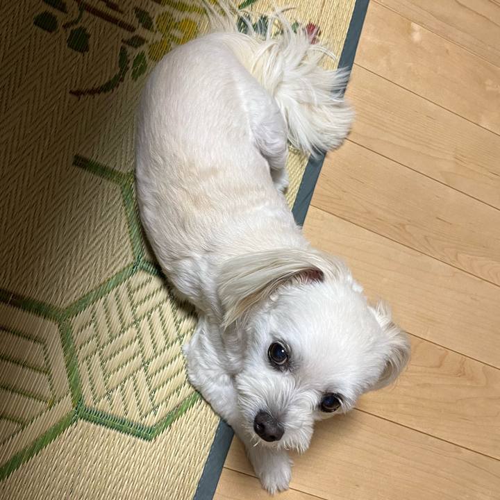 Ef706a61 3887 4e50 9e05 2818415e60d8 1695975613251