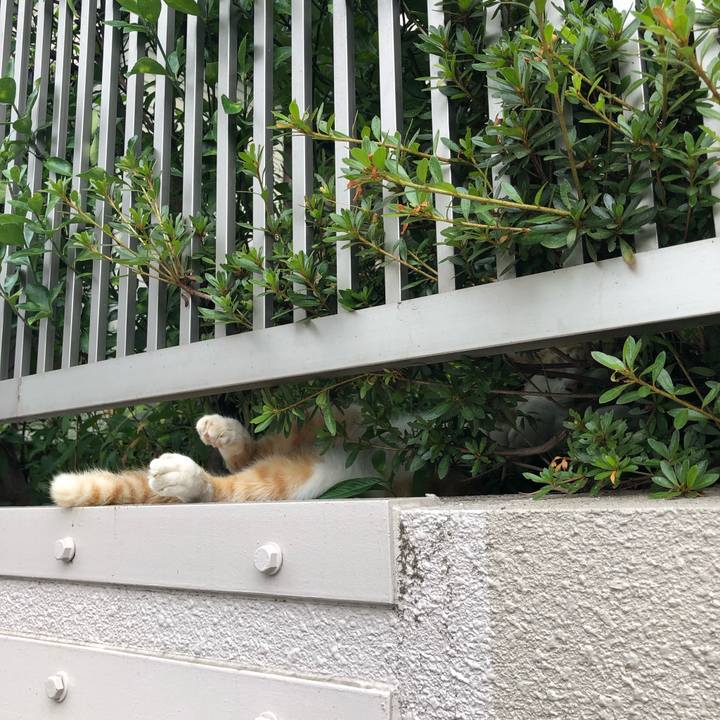 Ef7072c2 78b7 46f2 b414 10e5d995b932 1566719781459