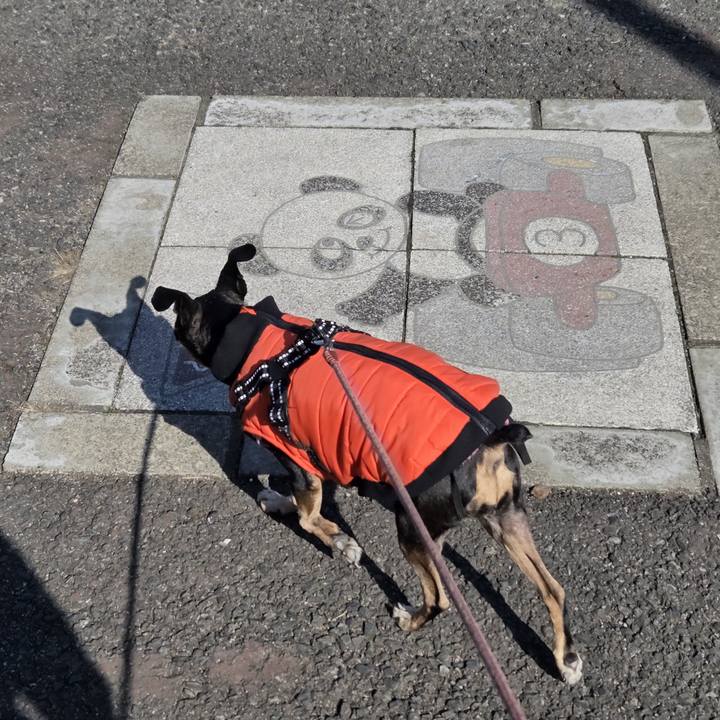 Ef707a16 2c98 4527 9239 34e4b2cfdbda 1771722770378