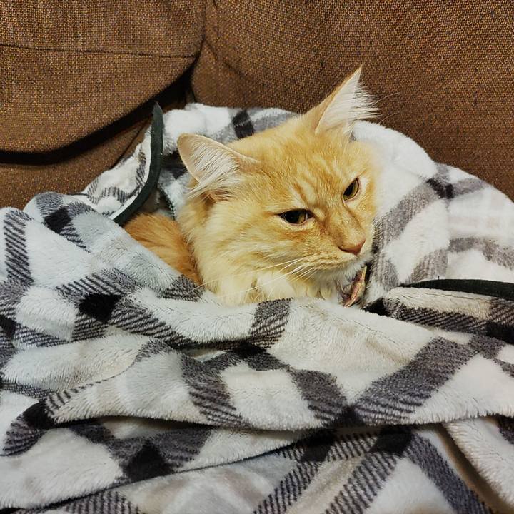 Ef70999b 8e12 434a a303 ff099bc1501d 1703477555523