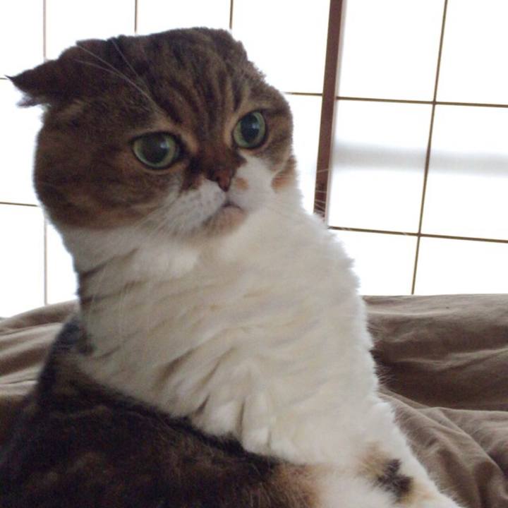 Ef70af69 7a14 4354 890d 3d551b34f4ad 1508565848414