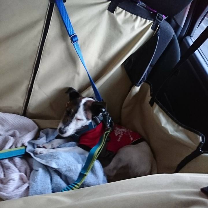 Ef70bc59 909d 4707 acc3 5288b2acc681 1519550613723