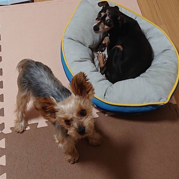 Ef70efe9 0758 400b a5e7 2f9cdca7cc75 1568375606167