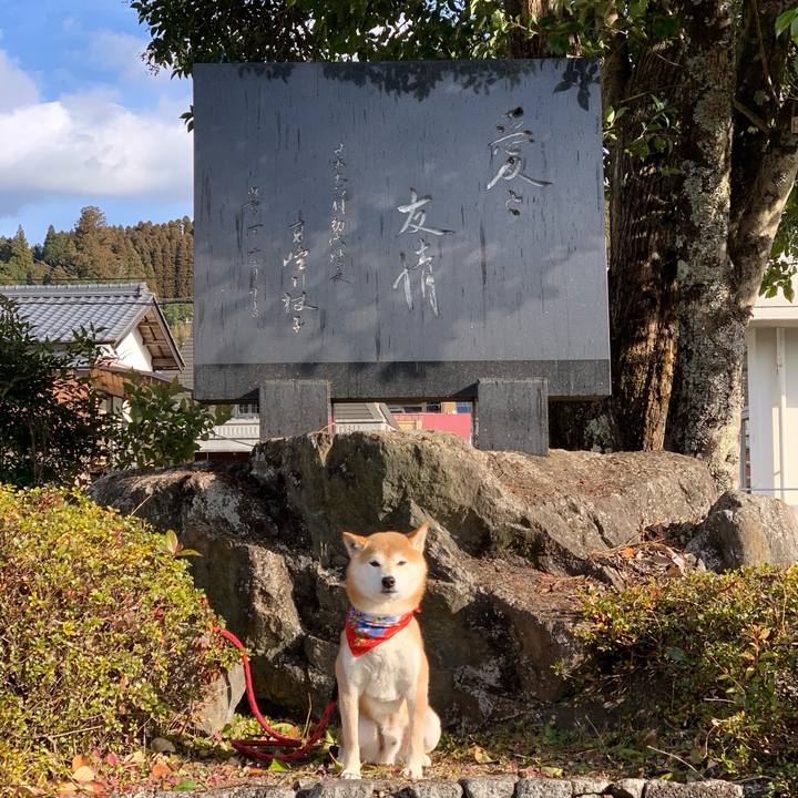 Ef7106c9 6a51 4f7d b099 58515ee90df2 1609921829195