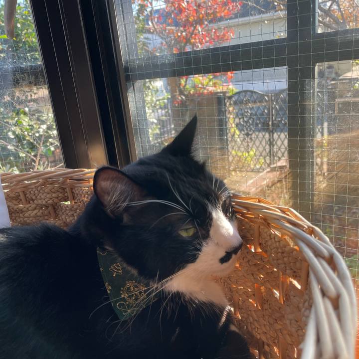 Ef7117b0 795e 4147 afab 383529da96a6 1700613271377