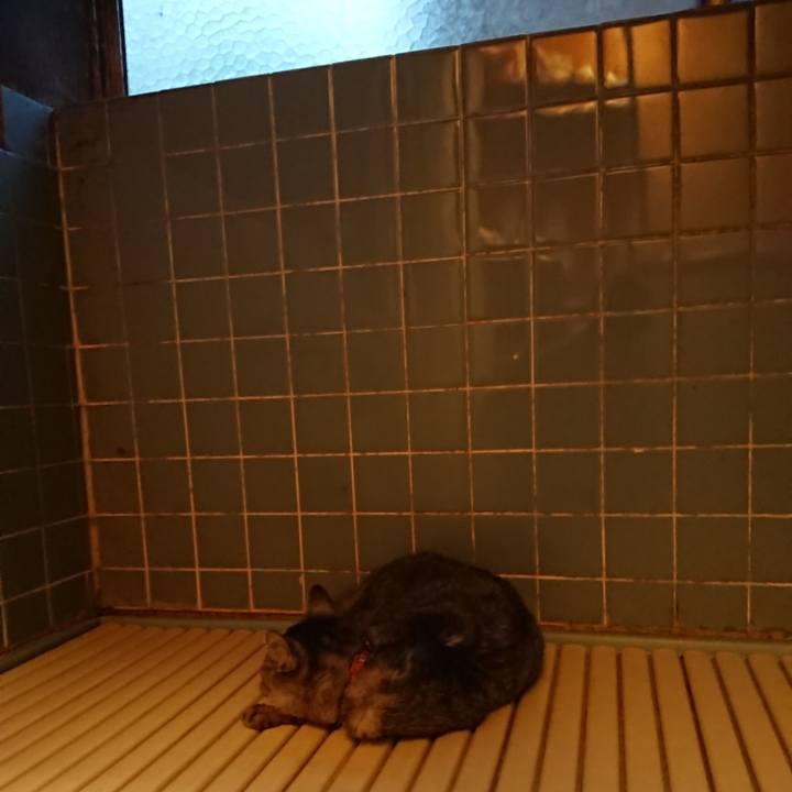 Ef7118a6 496d 4884 ac42 22126c1e0e88 1591040806382