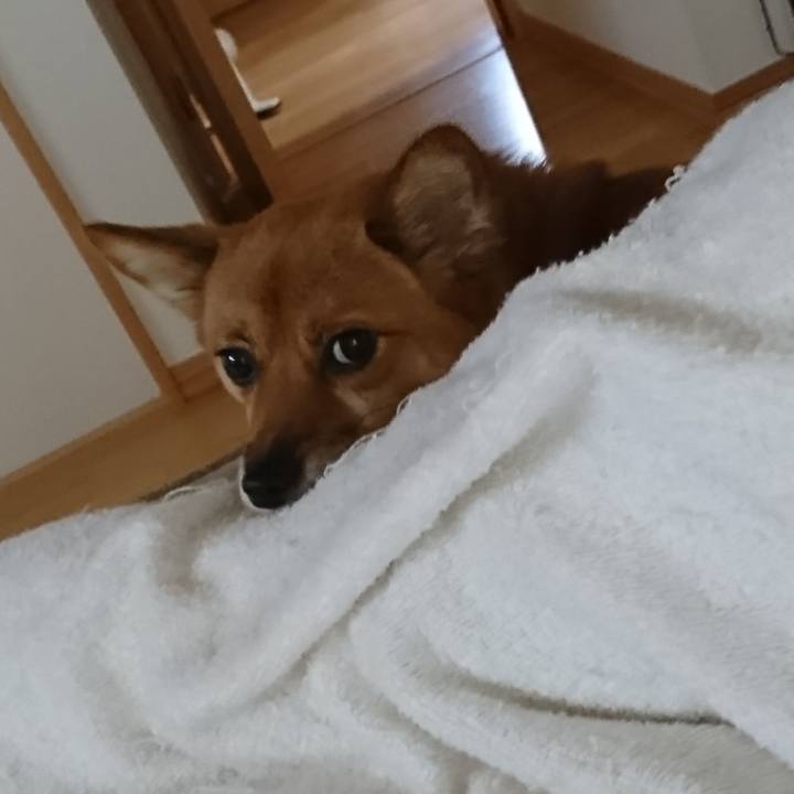 Ef7123f3 7fea 4bab a22c 194e83c29bb9 1539392706804