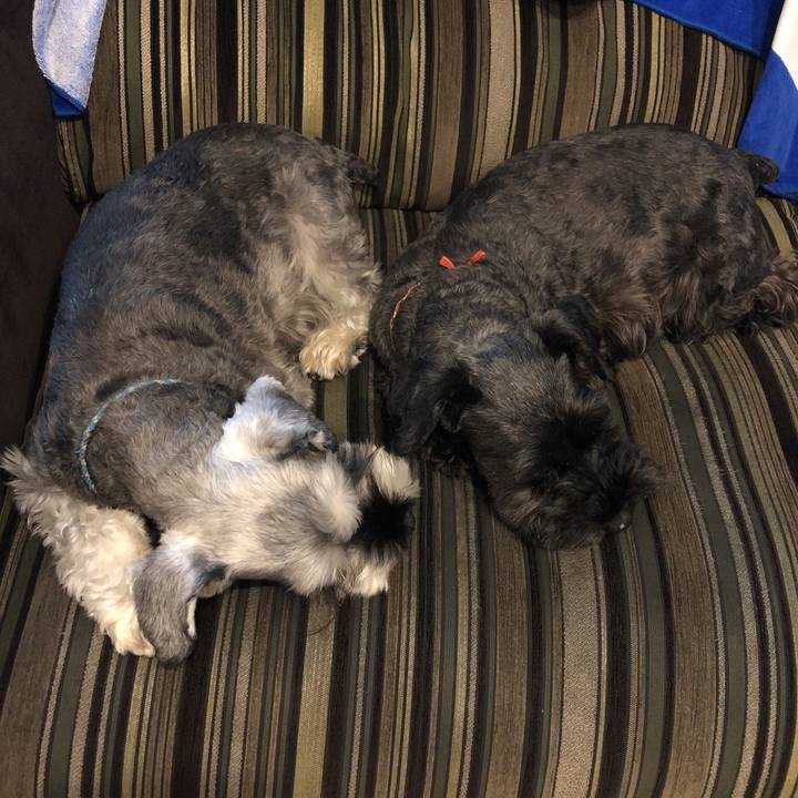 Ef713b05 8525 4e14 9a33 dba2405a0a52 1539384023027