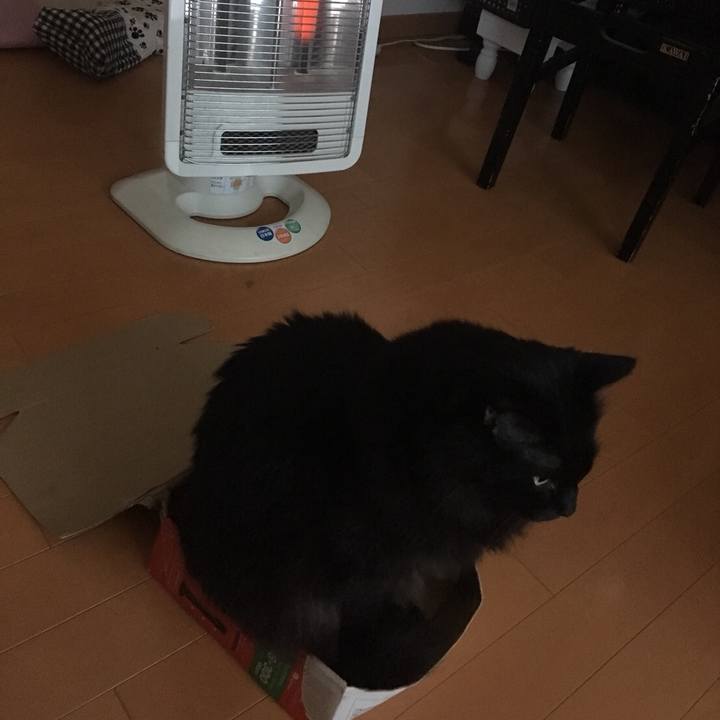 Ef714eb6 9669 49f1 b3b1 b93f5b85c61f 1539824715203