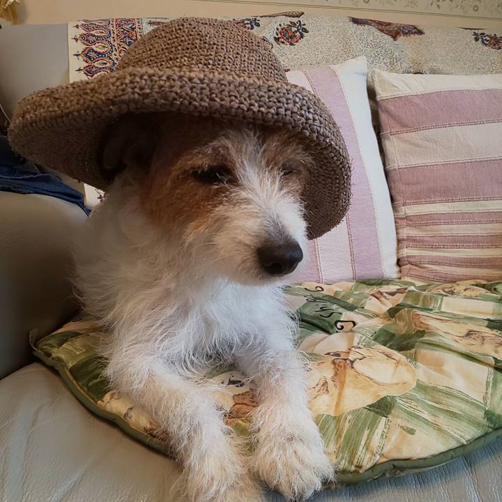 Ef717653 68a8 4604 803e af7246531f7a 1627192138556