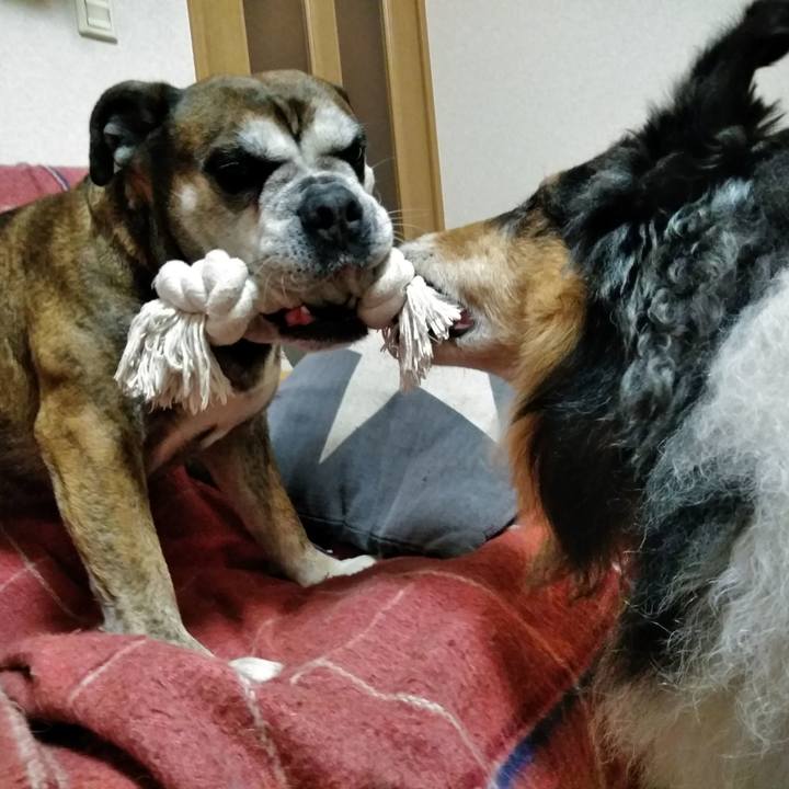 Ef7194ef 458f 403a a782 d6b7131d9a4c 1550579200333