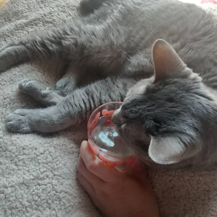 Ef71b375 b035 410a b153 c99e5bd81b89 1684370947204