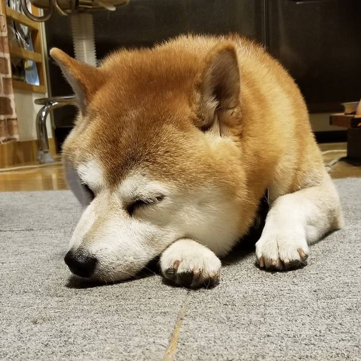 Ef71d554 5daa 4cd4 a737 9a7c66730a33 1631697304256