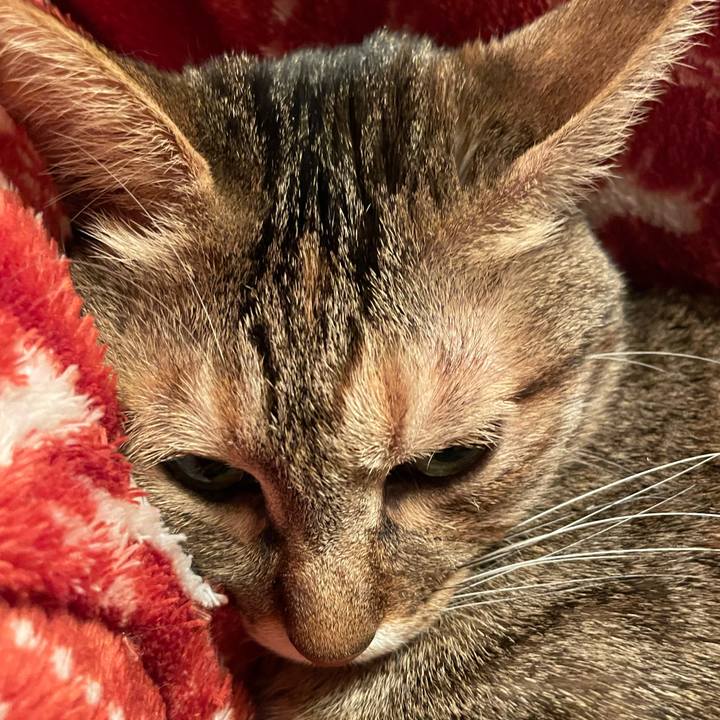 Ef71db03 a13d 4bfe ad59 b489268a0231 1642256055298