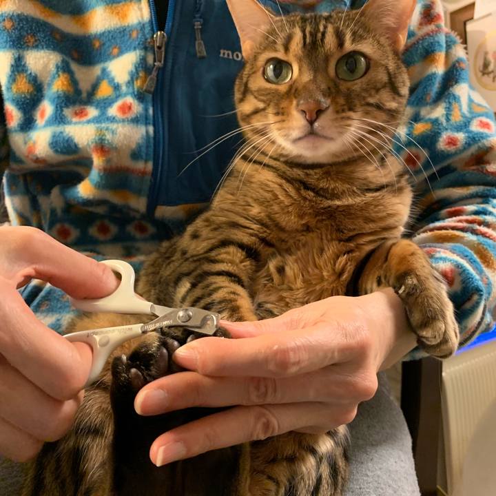 Ef71faa1 43fe 42c5 b5ca 1c0f95e359ef 1555294763398