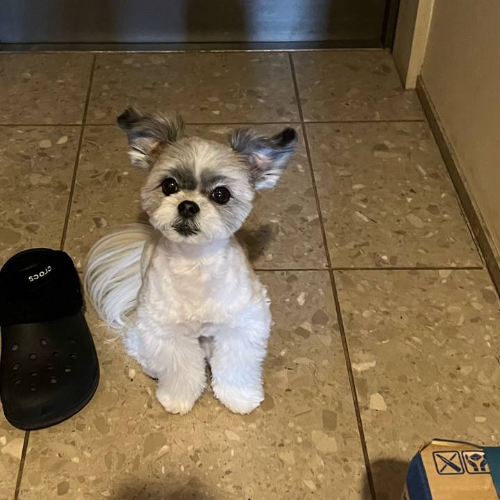 Ef724885 71ad 4800 88ad 84a8866ad097 1714193591026