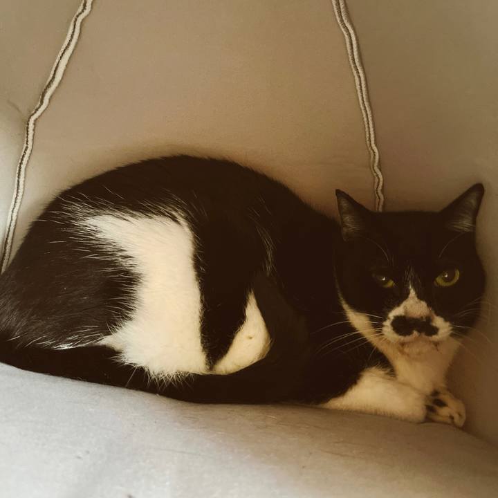 Ef7286a8 55da 4c77 8566 b47b7b250897 1651465316139