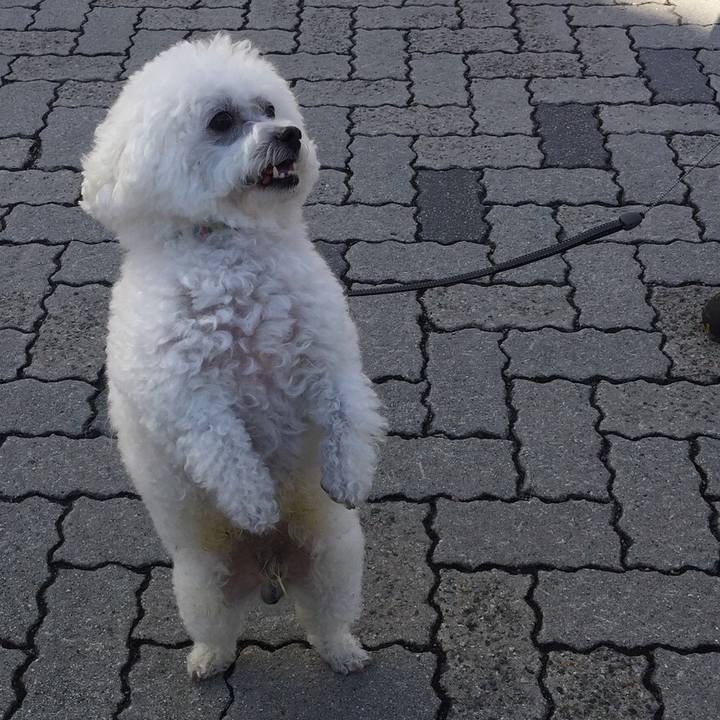 Ef72d28b 47e4 4883 bc8a 6034e57ee33c 1542513941897