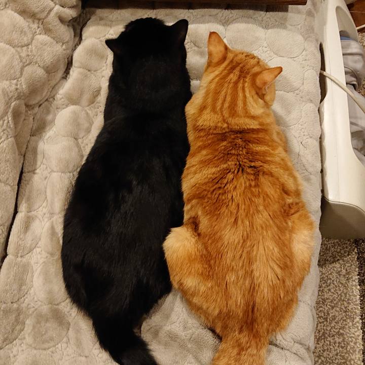 Ef730f34 6630 4b57 8153 bc788771ea51 1586263505885