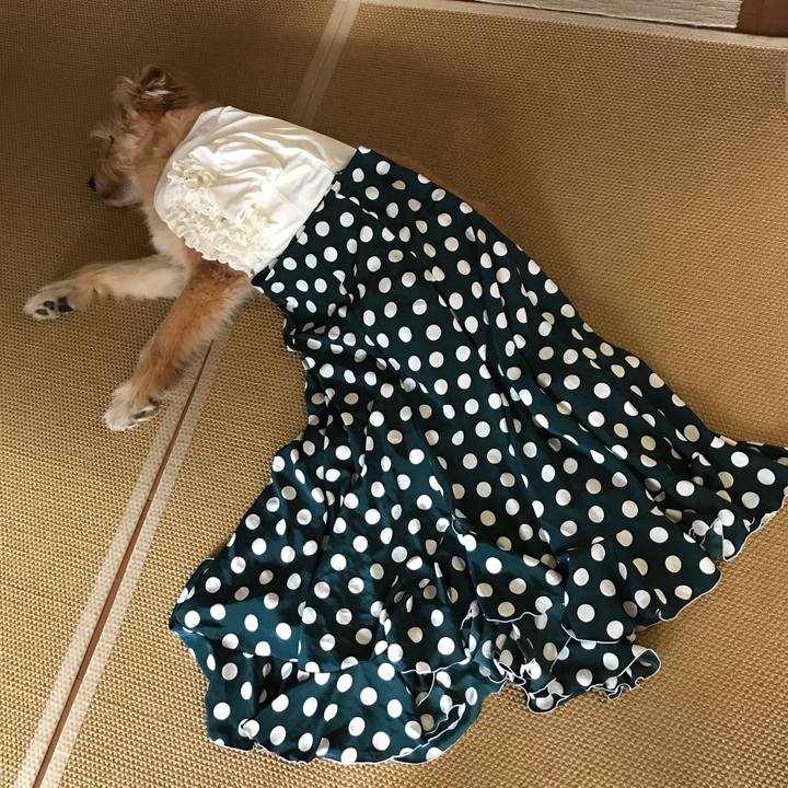 Ef7323bf 73f6 4261 984c 0d41da425ffc 1533606585186