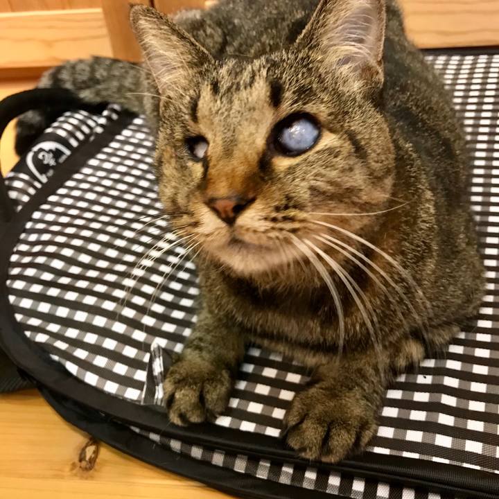 Ef733586 e273 467c ad8e d684b04e5687 1574669060664