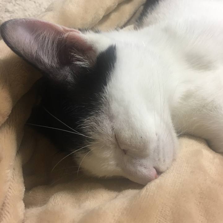 Ef73593b 992c 4e83 a247 403a25134b82 1541861399499