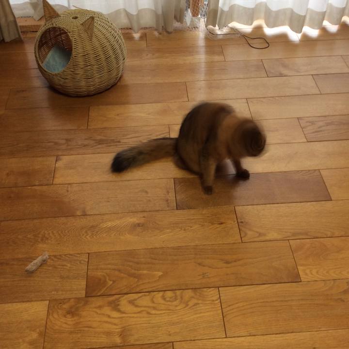 Ef736f76 12ea 4f79 8564 9cba2b84f4a0 1598699373036