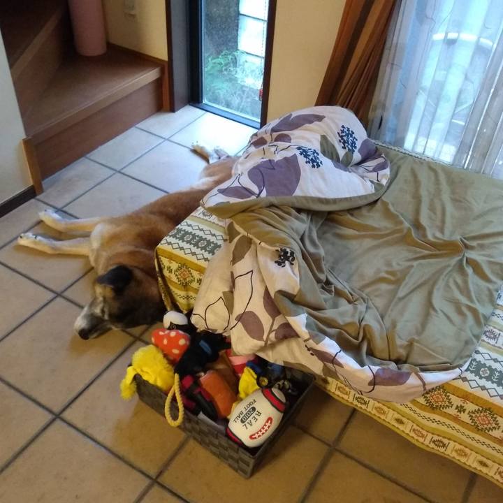 Ef73766f 422a 410b 9a78 1d70beae1aa0 1562016297081