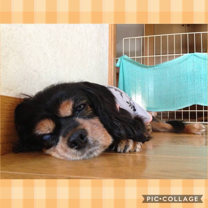 Ef737fb0 1074 44e0 9e01 2294794e61b0 1542377445856