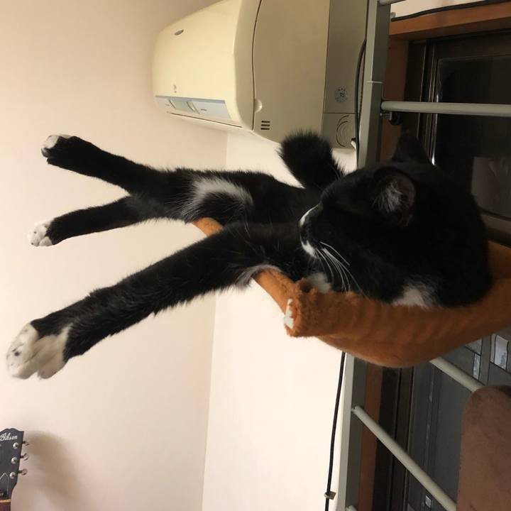 Ef7389e9 48a3 4943 9546 6e48c2a48dbb 1521085636087